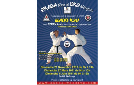 STAGE SPECIFIQUE WADORYU OUVERT A TOUS STYLES