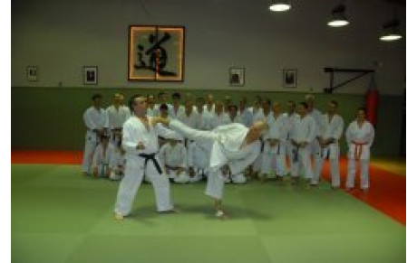 STAGE DE FIN D'ANNEE AVEC L'EXPERT FEDERAL 9è Dan