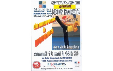 NOUVEAU A L'ECOLE DE KARATE  MICHEL RICATTI