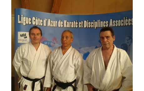 STAGE DE LIGUE AVEC LES EXPERTS JAPONAIS