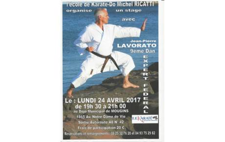 UN STAGE AVEC L'EXPERT FEDERAL 9ème DAN J.P LAVORATO