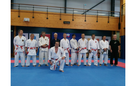 STAGE DES EXPERTS JAPONAIS A MONTPELLIER