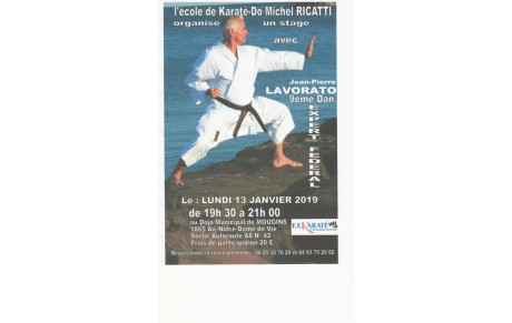 L'ECOLE DE KARATE DO MICHEL RICATTI ORGANISE UN STAGE DE RENTREE 2020 AVEC EXPERT FEDERAL  J.P LAVORATO 